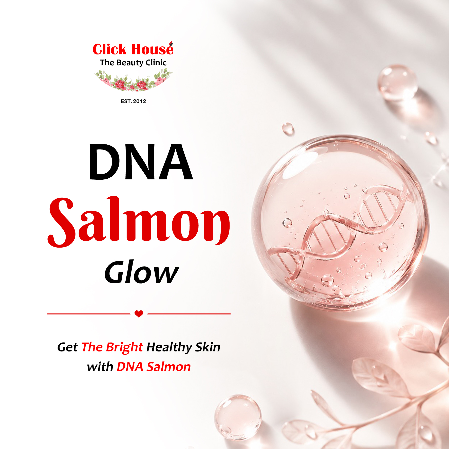 DNA Salmon Skin Booster